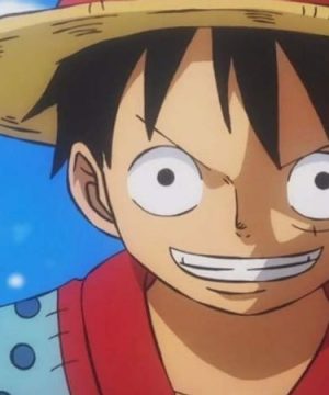 Monkey.D.Luffy