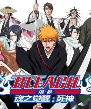 bleach